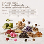 Mixed Perfume - Nomade Signature Essence