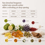 Mixed Perfume - Tendre Signature Essence