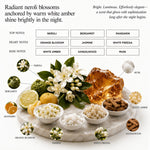 Parfum mixte - De Homme
